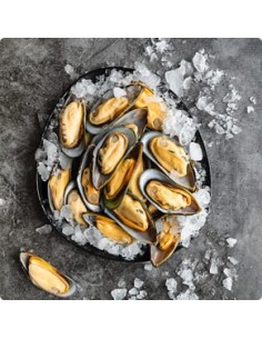 Mejillones