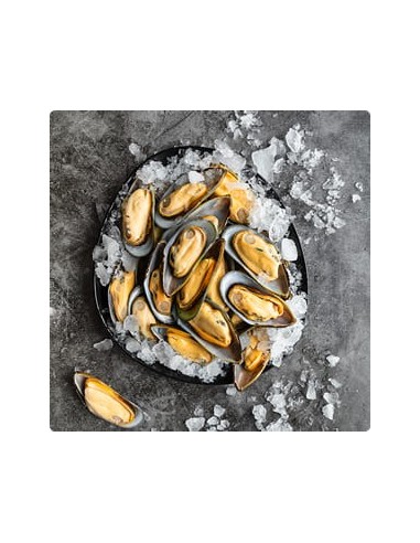 Mejillones