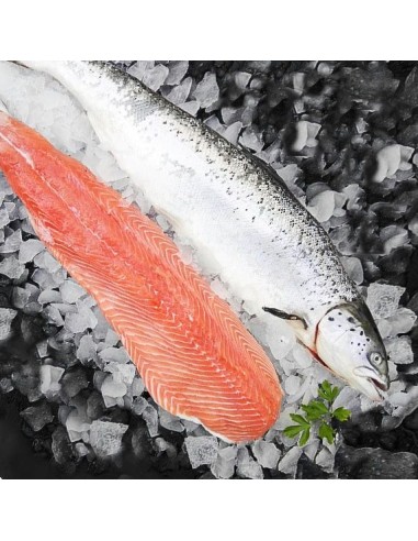 Filete salmon