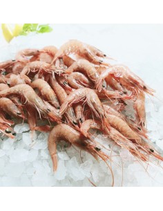 Gamba arrocera
